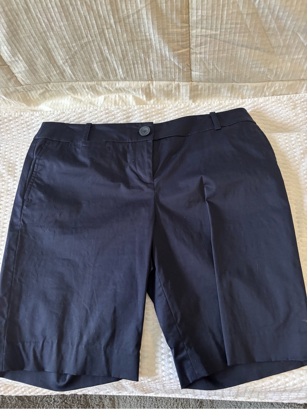 LOFT Navy Tailored Shorts